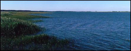 waterfront1